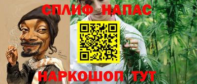 СК Чапаевск