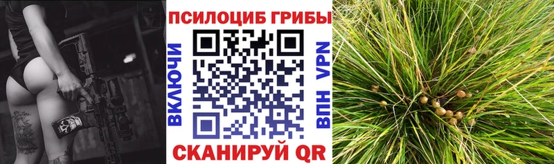 гидра онион  Курганинск  Псилоцибиновые грибы прущие грибы 