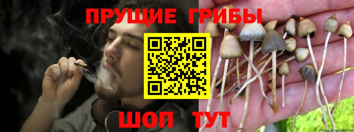 Курганинск  Галлюциногенные грибы ЛСД  Вход с VPN  Псилоцибиновые грибы мицелий 
